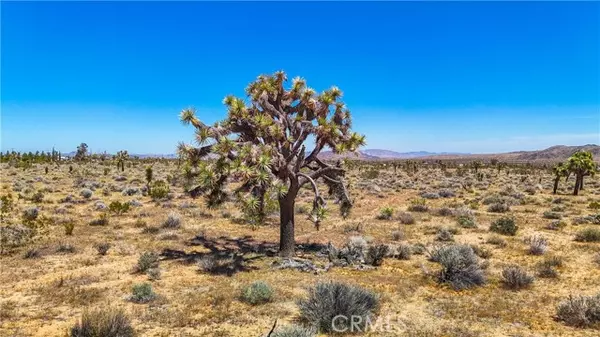 Yucca Valley, CA 92284,2155 Balsa