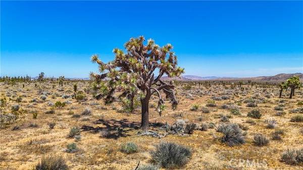 Yucca Valley, CA 92284,2155 Balsa