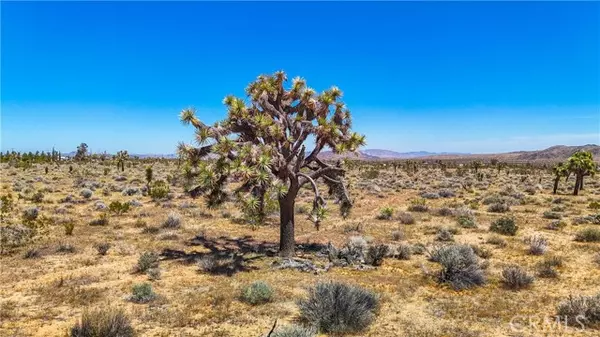 Yucca Valley, CA 92284,2155 Balsa