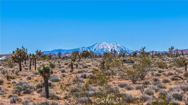 Yucca Valley, CA 92284,2155 Balsa