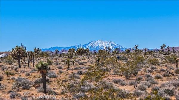 Yucca Valley, CA 92284,2155 Balsa