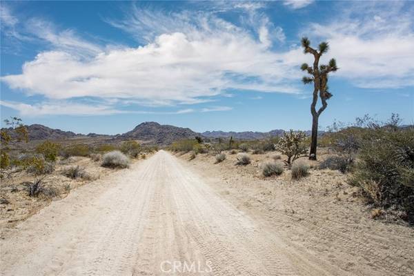 Joshua Tree, CA 92252,4444 Skyline