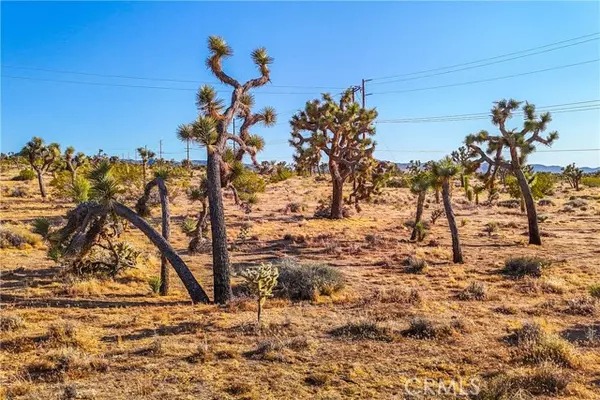 Joshua Tree, CA 92252,7645 La Contenta