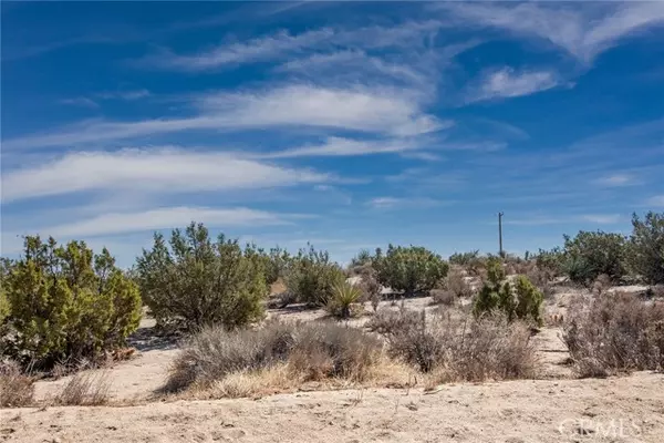 Yucca Valley, CA 92284,56600 Duarte