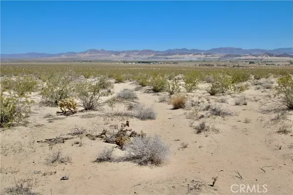 29 Palms, CA 92278,0 Manana