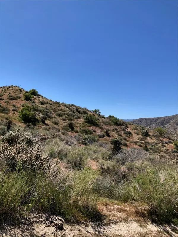 Morongo Valley, CA 92256,25 ACRES APN# 0582081110000 / 0582081100000