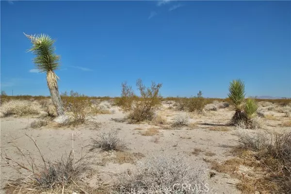 Joshua Tree, CA 92252,0 Moonlight Mesa