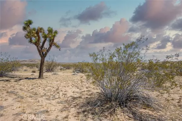 Joshua Tree, CA 92252,4444 Saddleback