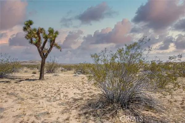 Joshua Tree, CA 92252,4444 Saddleback