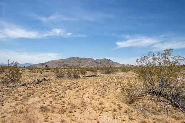 Joshua Tree, CA 92252,4444 Saddleback