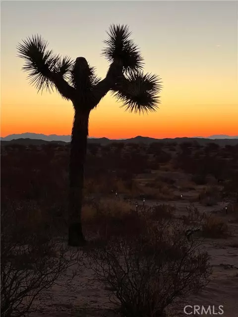 Joshua Tree, CA 92252,2674 Manana