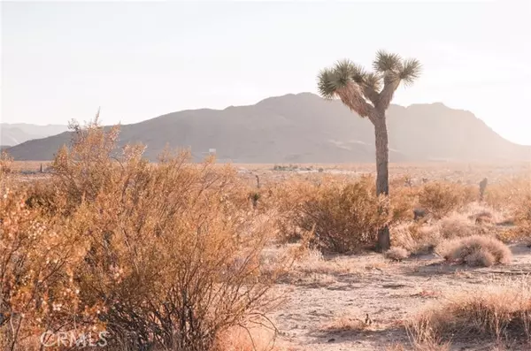 Joshua Tree, CA 92252,2674 Manana