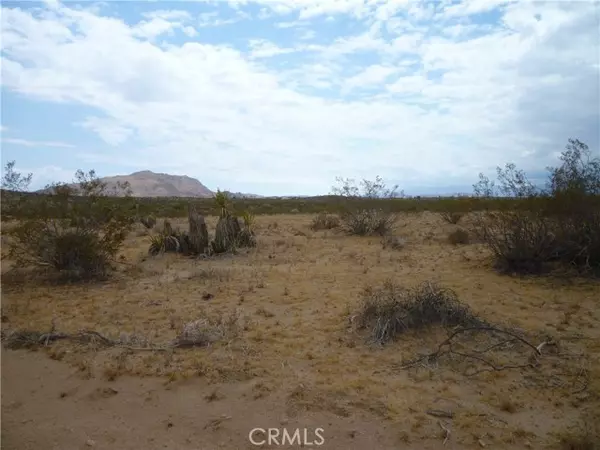 Joshua Tree, CA 92252,62397 Sunny Sands