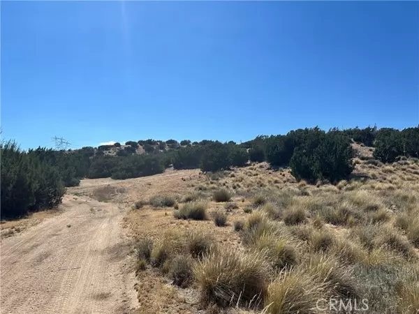 Hesperia, CA 92345,0 Near Las Flores