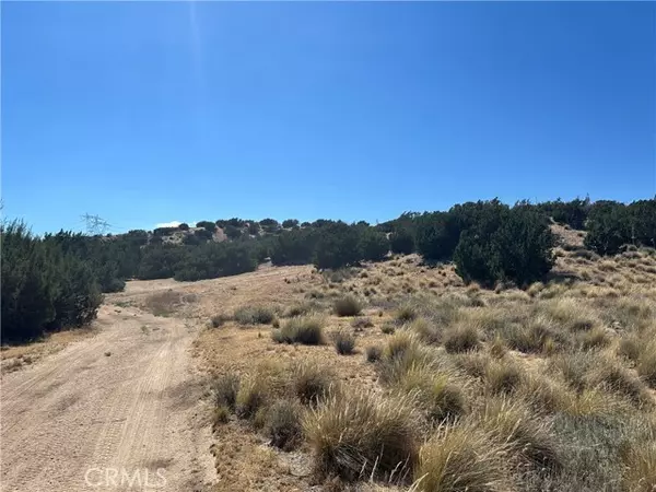 Hesperia, CA 92345,0 Near Las Flores