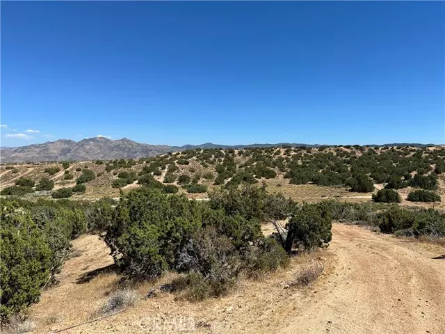 0 Near Las Flores, Hesperia, CA 92345