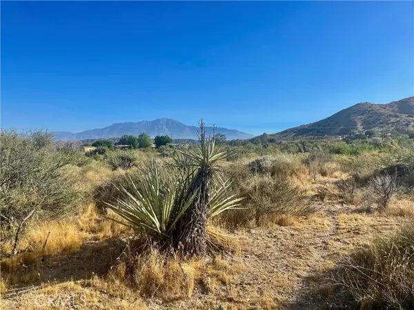 Morongo Valley, CA 92256,49200 Old Mill