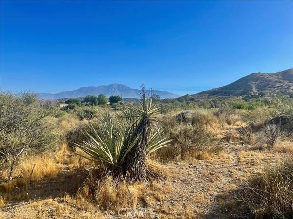 Morongo Valley, CA 92256,49200 Old Mill