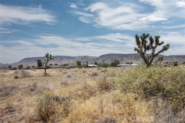 Pioneertown, CA 92268,3100 Bush