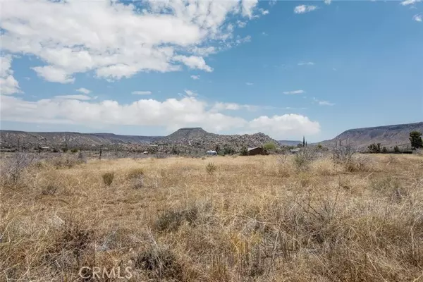 Pioneertown, CA 92268,3100 Bush