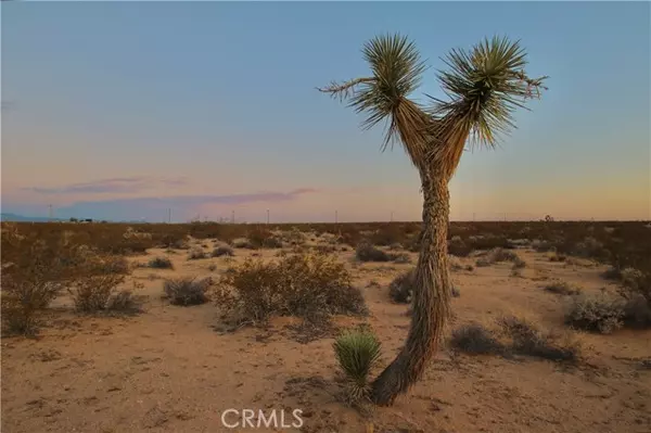 0 Milky Way, Joshua Tree, CA 92252