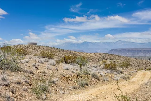 Yucca Valley, CA 92284,1000 Millie