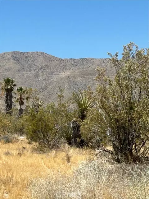 0 Green Trl., Morongo Valley, CA 92256