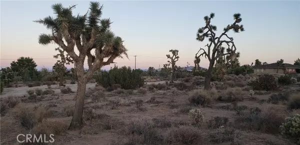 Yucca Valley, CA 92284,0 Canton