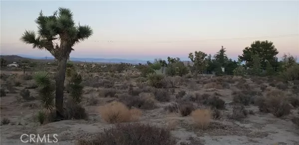 Yucca Valley, CA 92284,0 Canton