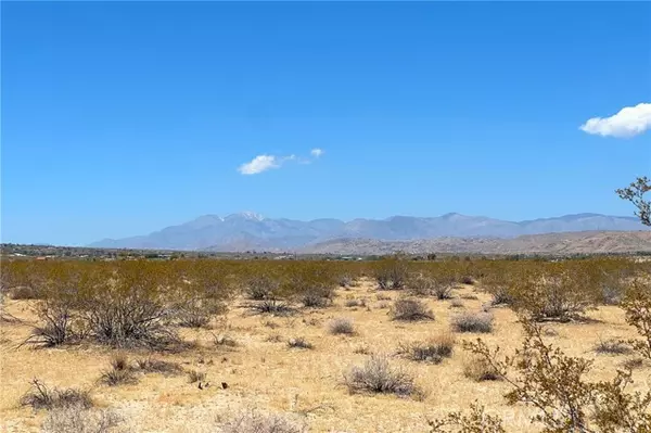 Joshua Tree, CA 92252,6335 Pelican