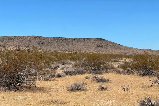 0 Willie, Joshua Tree, CA 92252