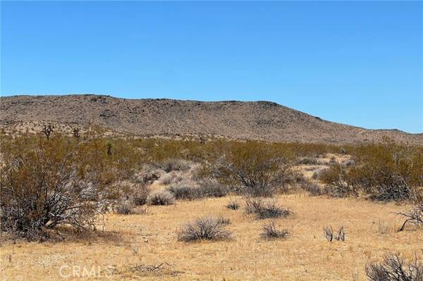 0 Willie, Joshua Tree, CA 92252