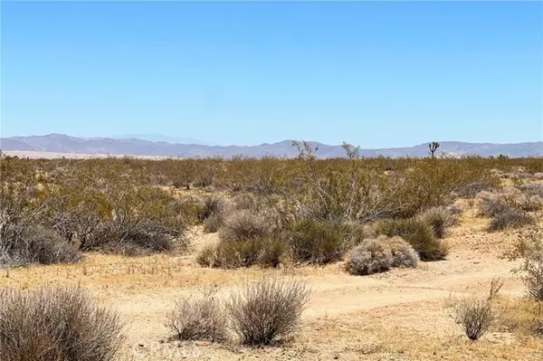 Joshua Tree, CA 92252,0 Willie