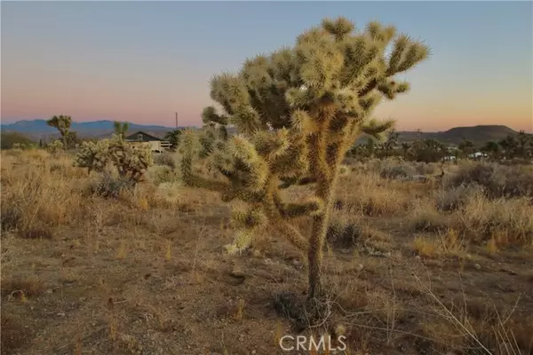 Joshua Tree, CA 92284,7635 La Contenta