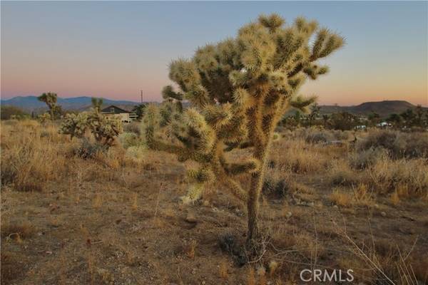 Joshua Tree, CA 92284,7635 La Contenta