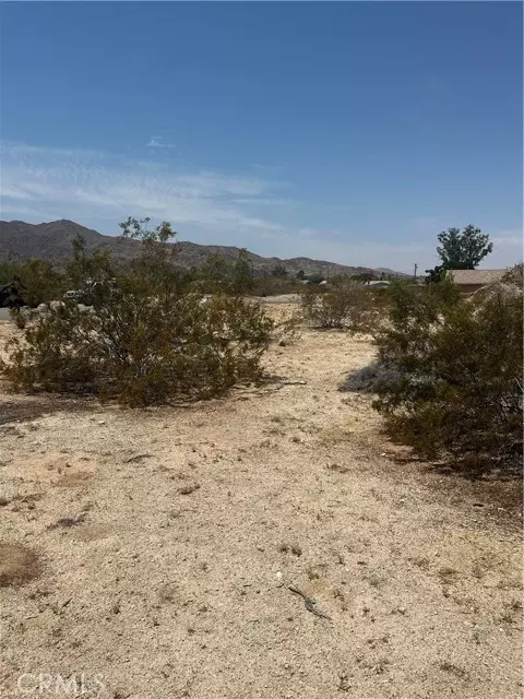 29 Palms, CA 92277,72562 Juanita