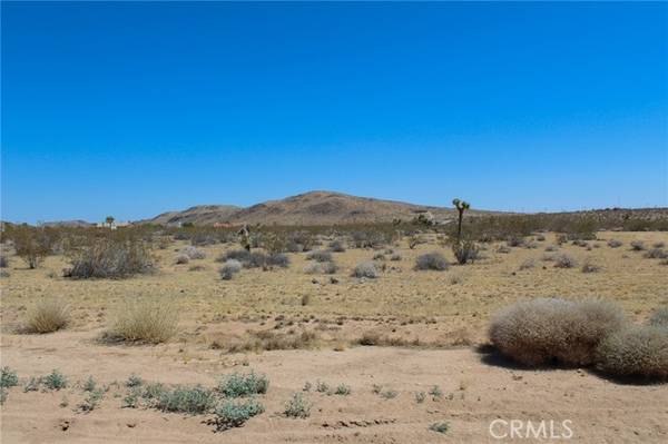 Joshua Tree, CA 92252,0 Duvall