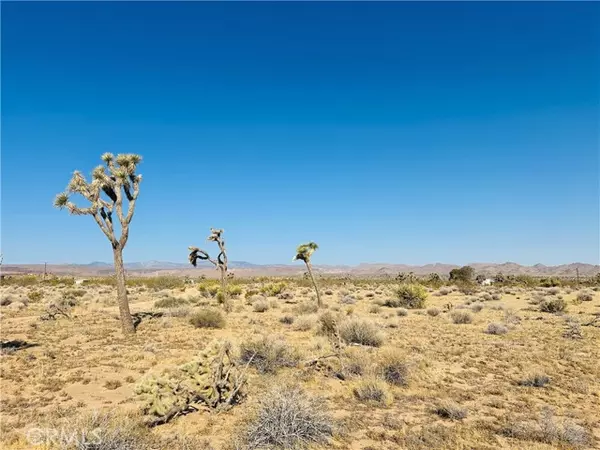 Yucca Valley, CA 92284,1070 Hilton