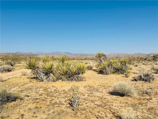 1070 Hilton, Yucca Valley, CA 92284