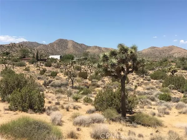 Yucca Valley, CA 92284,58958 Carmelita