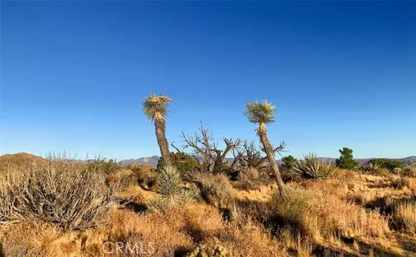 Yucca Valley, CA 92284,58958 Carmelita