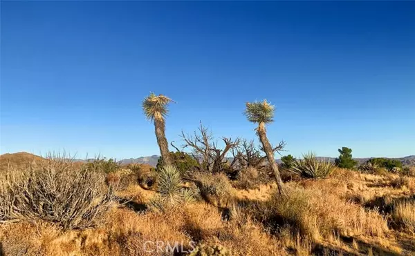 Yucca Valley, CA 92284,58958 Carmelita