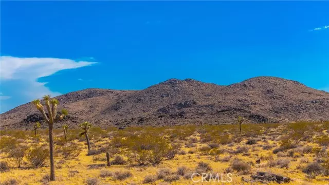 Yucca Valley, CA 92284,0 Alta