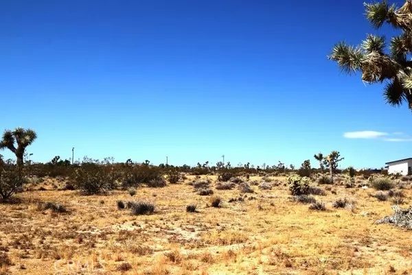 Yucca Valley, CA 92284,3526 Alta