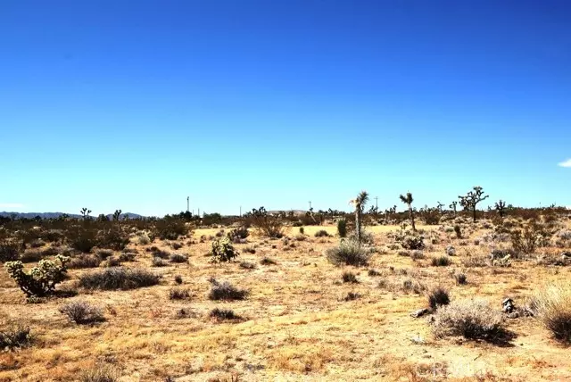 Yucca Valley, CA 92284,3526 Alta