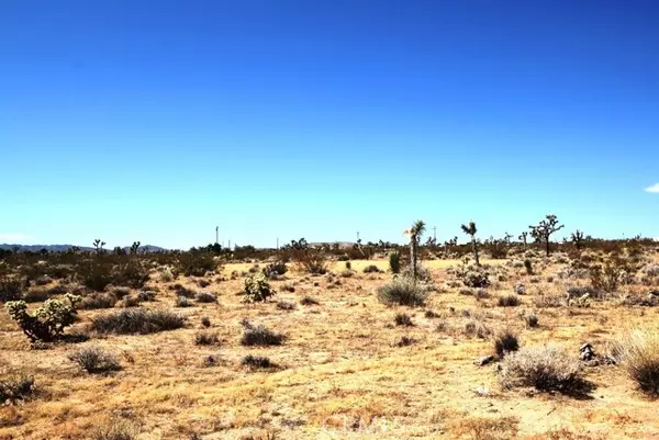 Yucca Valley, CA 92284,3526 Alta