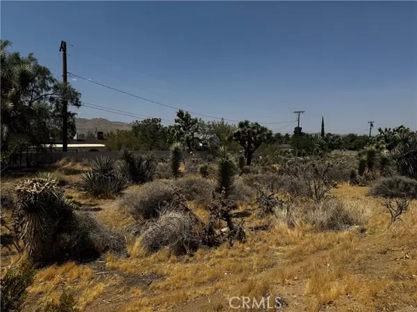 Yucca Valley, CA 92284,0 Piute