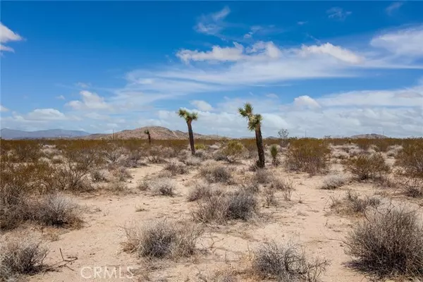 Joshua Tree, CA 92252,2000 Celeste