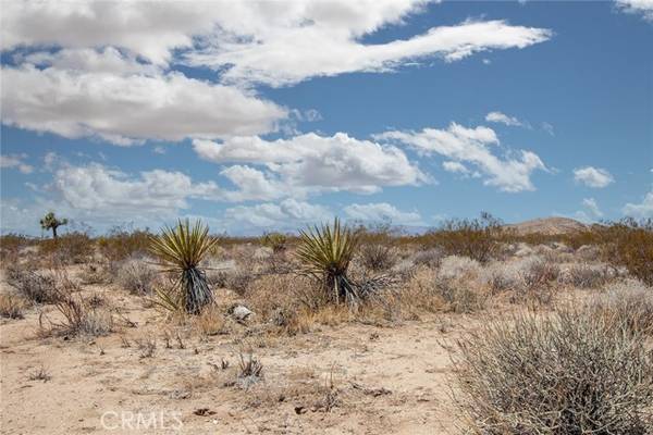 Joshua Tree, CA 92252,3000 Celeste