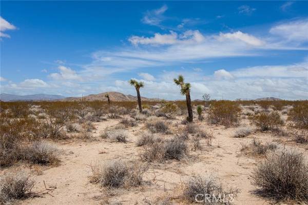 3000 Celeste, Joshua Tree, CA 92252